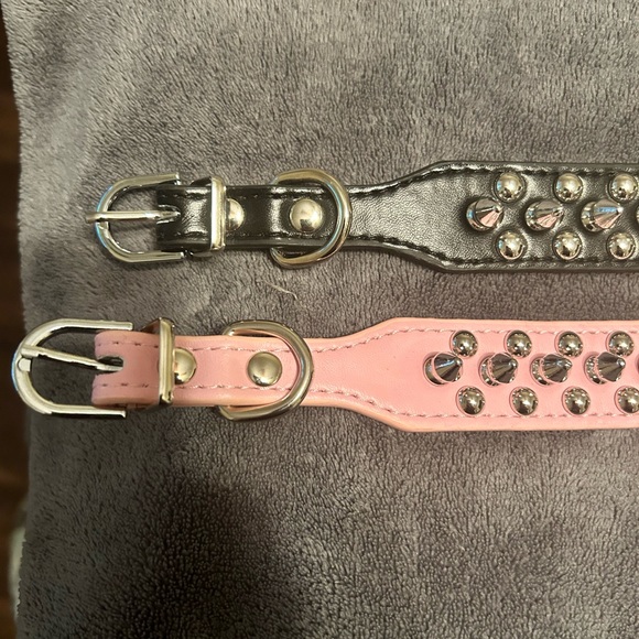 Dog collars, size large brand new - Picture 1 of 3
